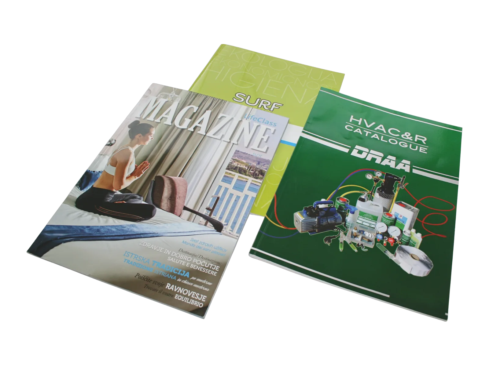 Publikacije – primer 2